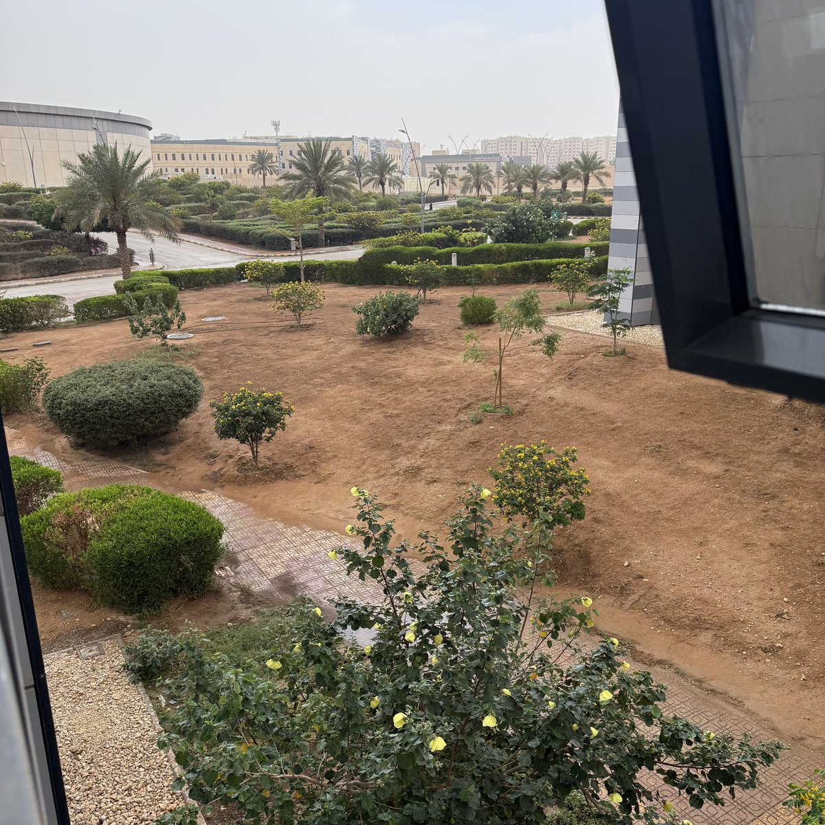 🇸🇦‏ 𝙰𝙻𝙷𝙽𝙾𝚄𝙵 𝙰𝙻𝙵𝚁𝙰𝙸𝙷 | 哈努芙 🇨🇳 tweet media