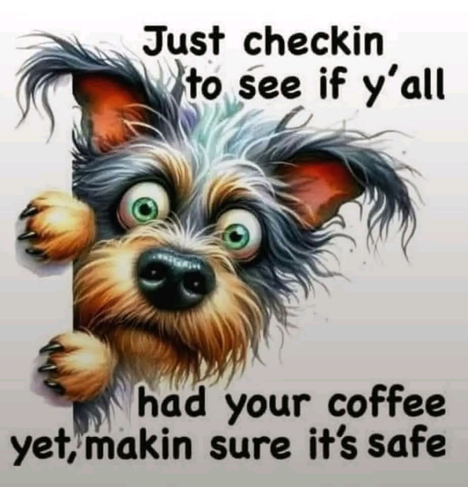 HarrysMum2022's tweet image. Time for a cuppa anyone? Help yourselves to biscuits. Put your feet up and relax for 10 mins. 
𝒟𝒶𝒾𝓈𝓎  xx 😘🙋‍♀️🤗
#coffee #tea
#humour