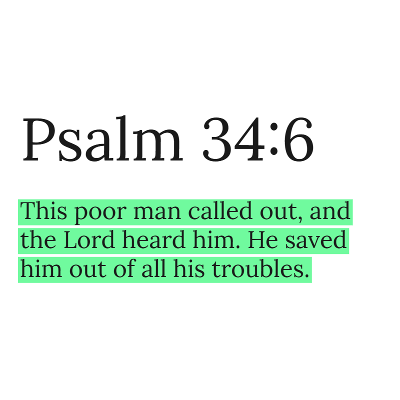 Holy Bible tweet media