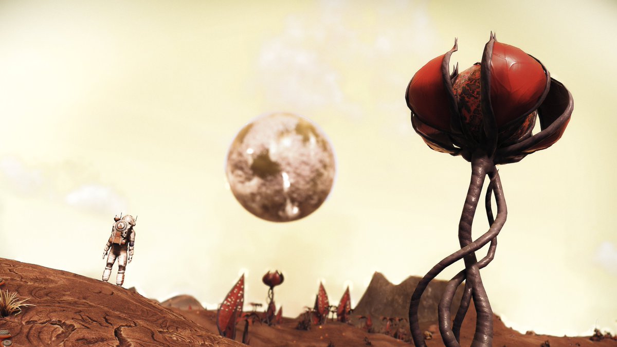 el_plays_games's tweet photo. Perspectives for @Captured_Collec 's weekly theme #TCCPerspective

Infinity Nikki↖️
Overwatch ↗️
No Man's Sky ↙️
Genshin Impact ↘️ https://t.co/OTN0Ftdsc4