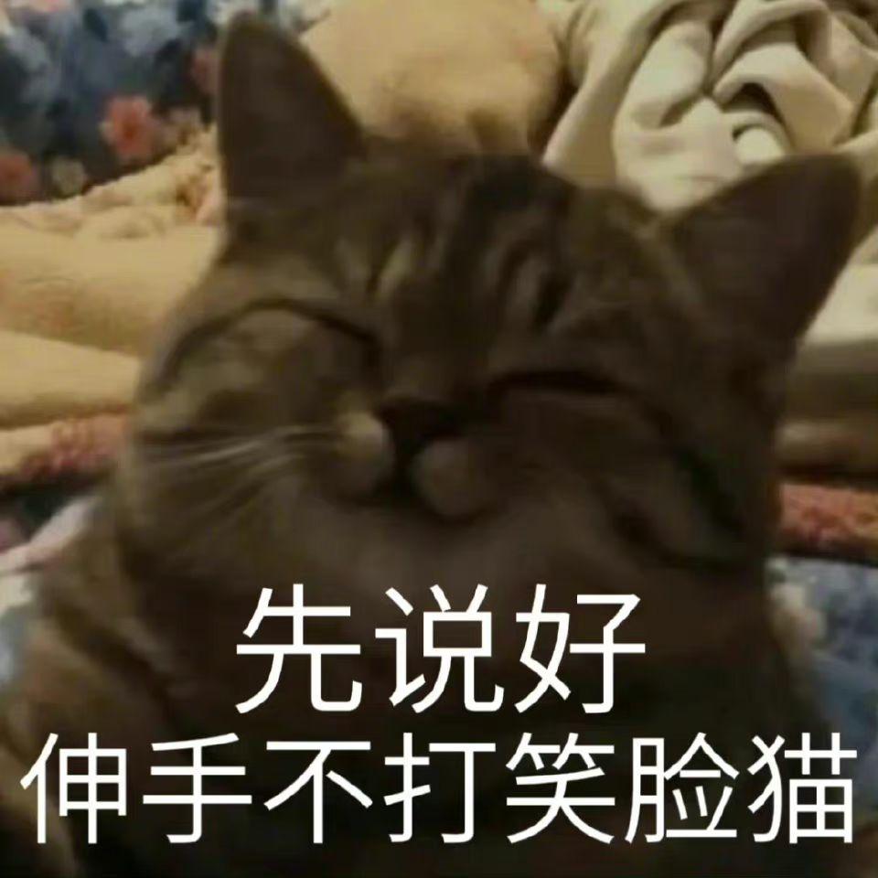 EX_BridgePicado's tweet photo. @saharaoasis_ 只恨财力不足，不然搞个五六七八个（PS：道歉信单卖吗） https://t.co/TZjGROfc3H