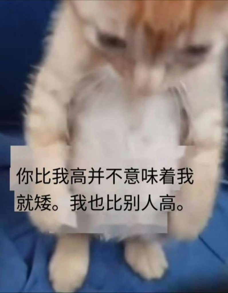 kairuuu🦉🌻 tweet media