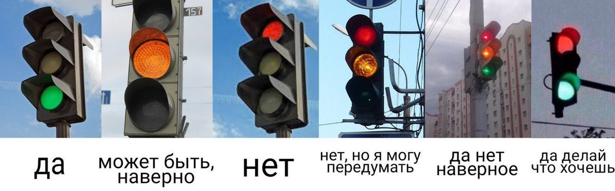 Шиза&База tweet media