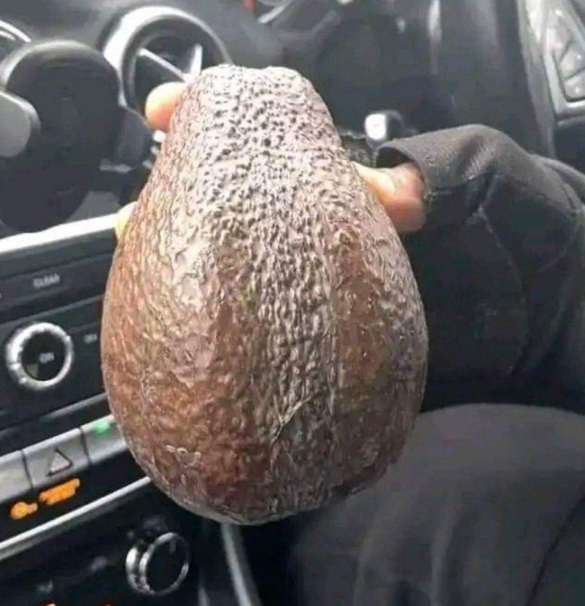 Ñîçê tweet media