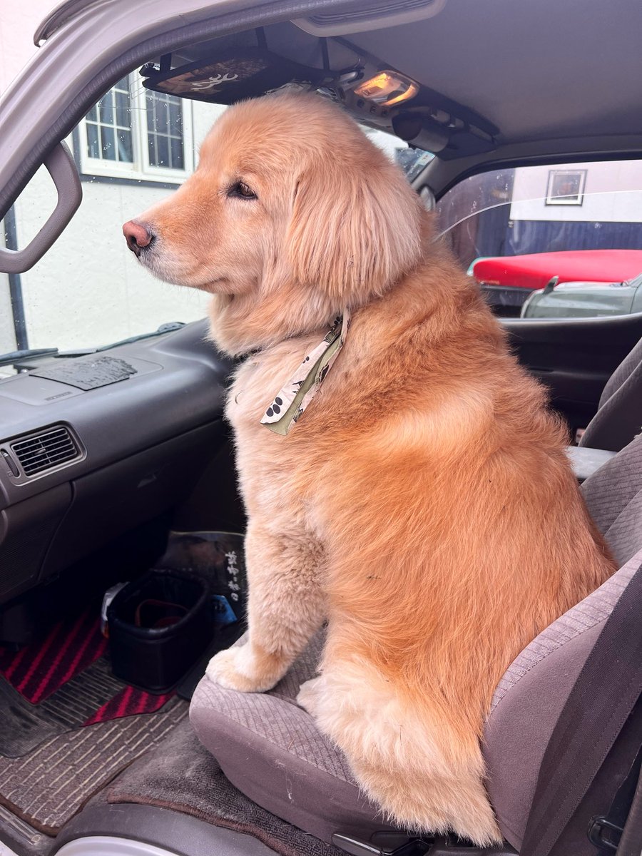 ディッパー tweet media