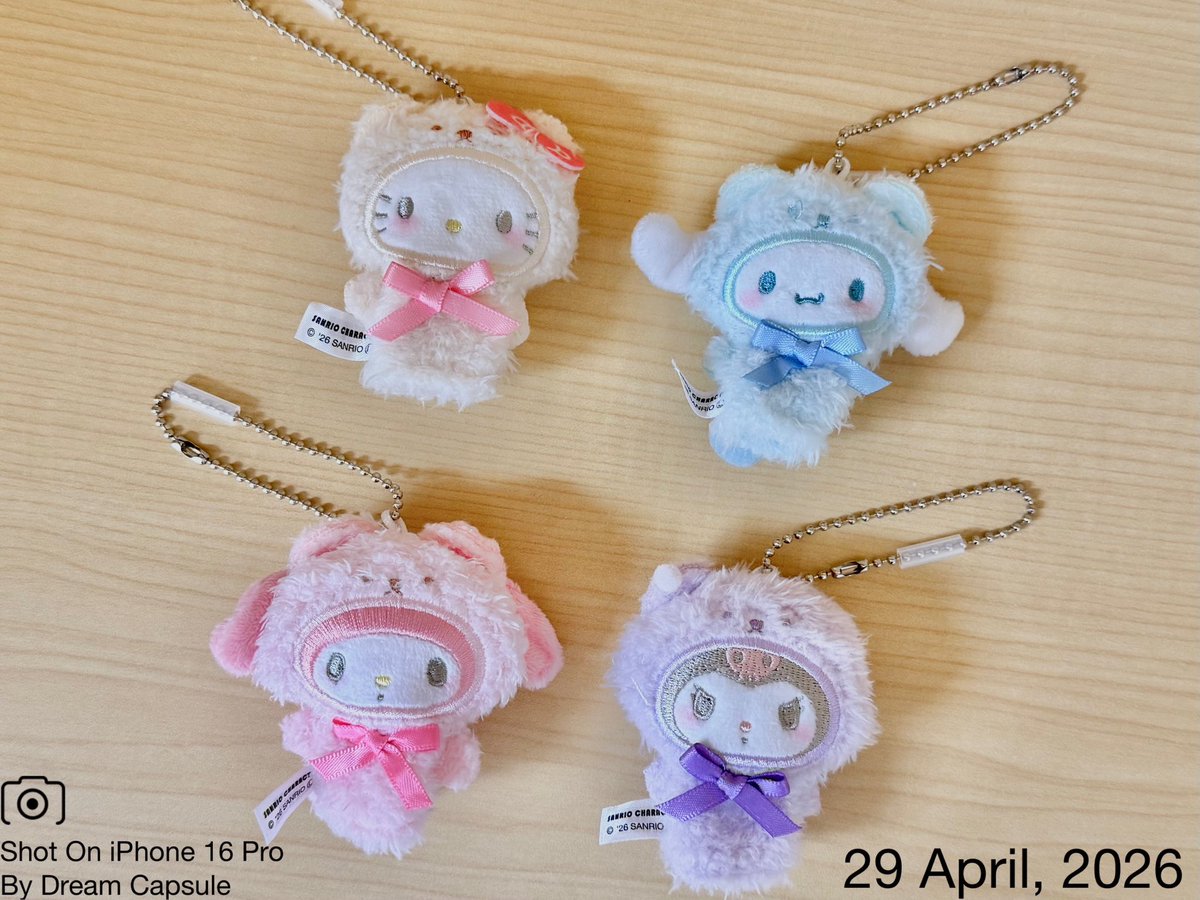 ドリームカプセルの中の人【公式】 tweet media