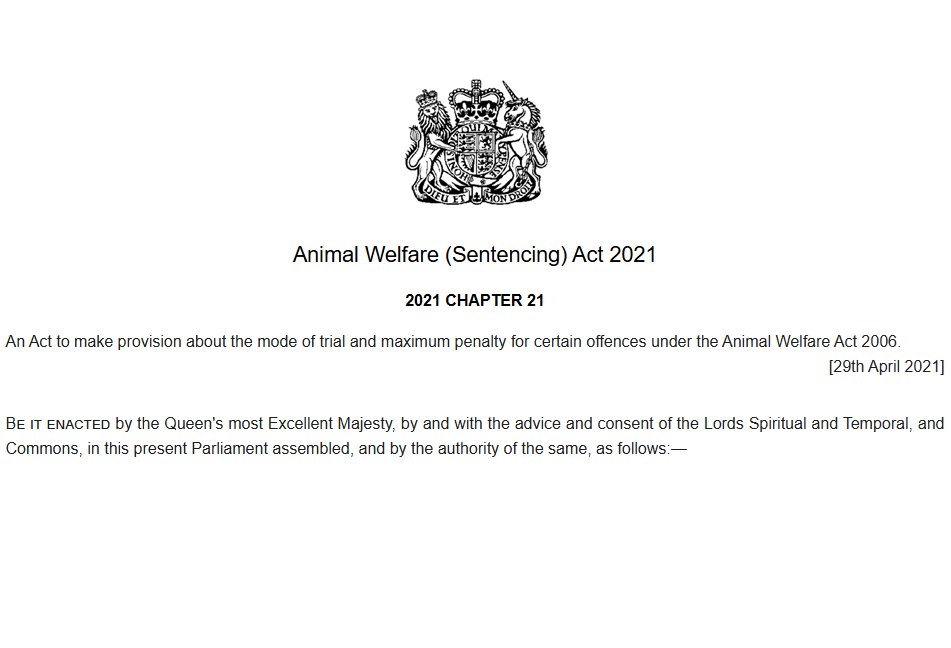 Battersea Public Affairs tweet media