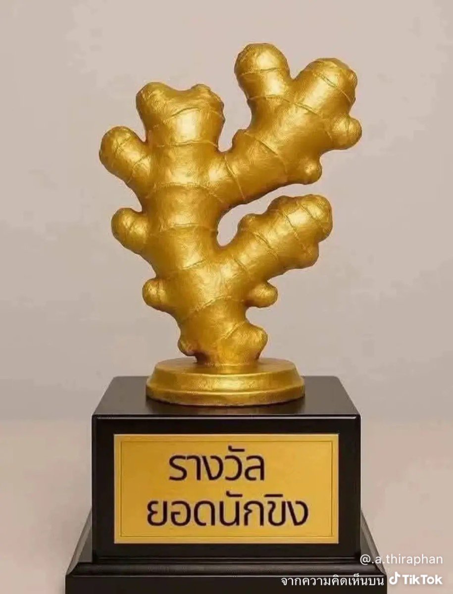 พุดแป๋วชน์🍮🌶️ tweet media