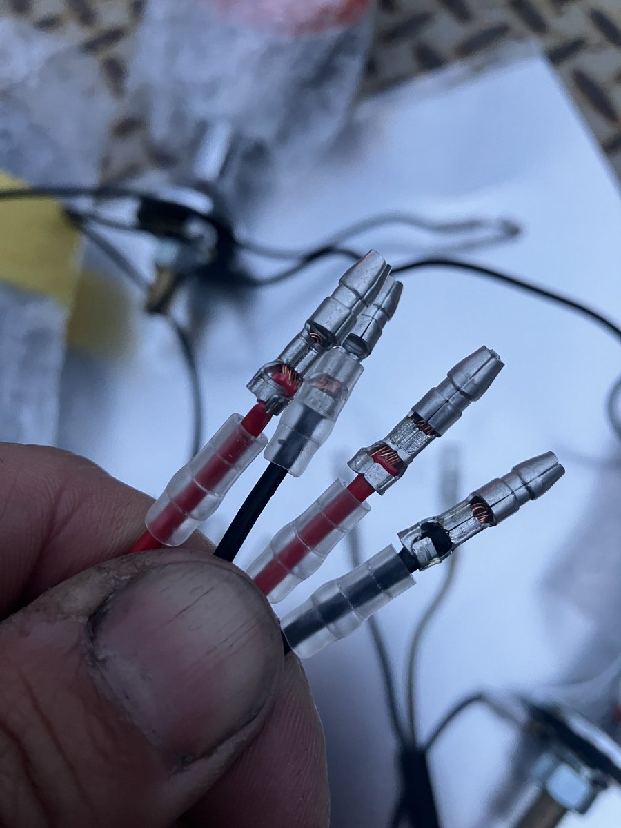 塩鯖苺タルト tweet media