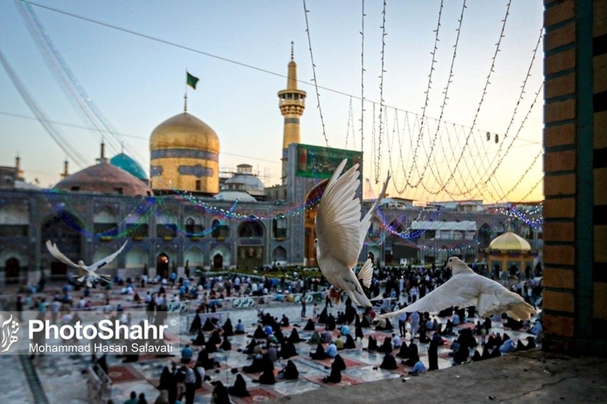 Mahdi Rezaei | مهدی رضایی tweet media