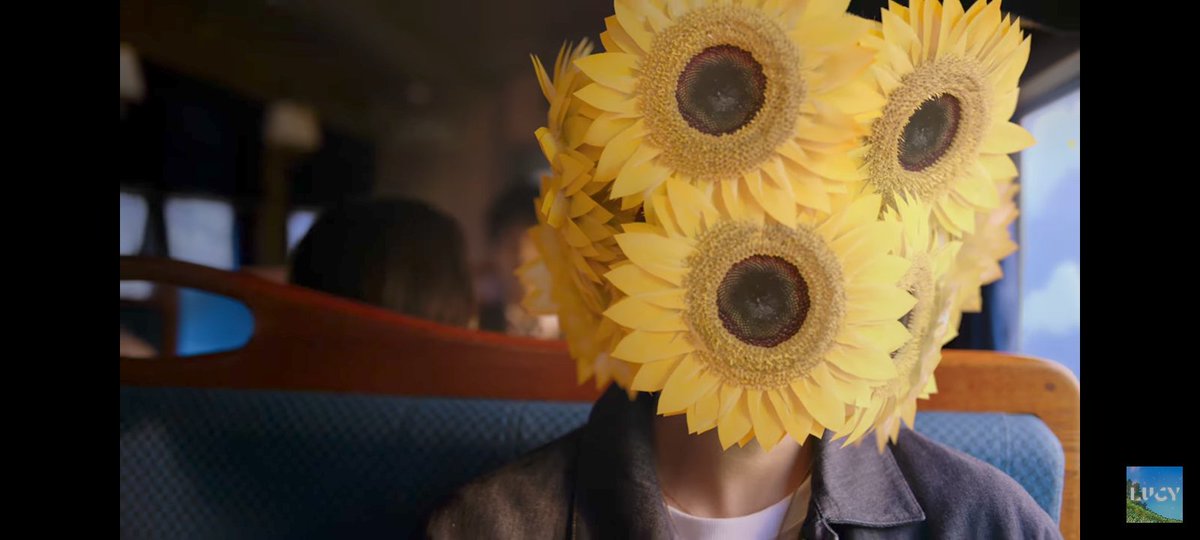 妹妹🚂 tweet media