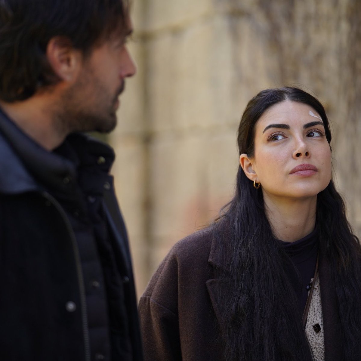 lofi🦌 tweet media