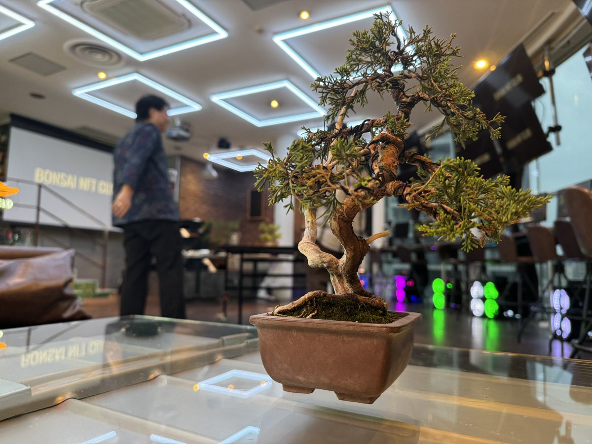 Crypto Lounge GOX ｜レンタルスペース＆カフェ tweet media