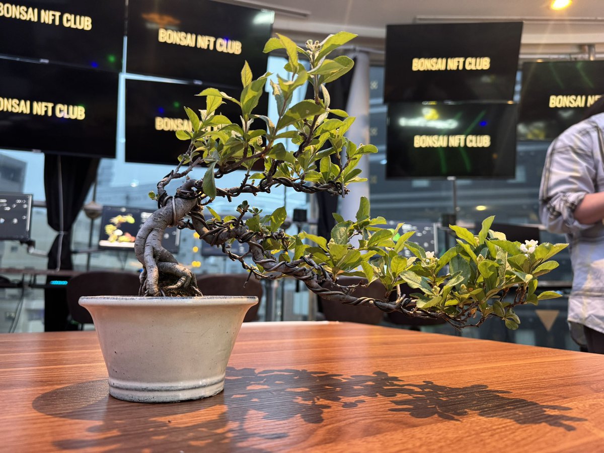 Crypto Lounge GOX ｜レンタルスペース＆カフェ tweet media