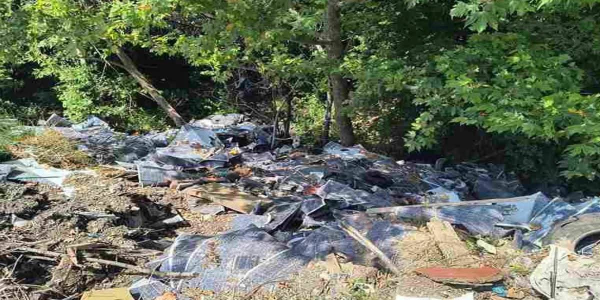 olga🍉 tweet media