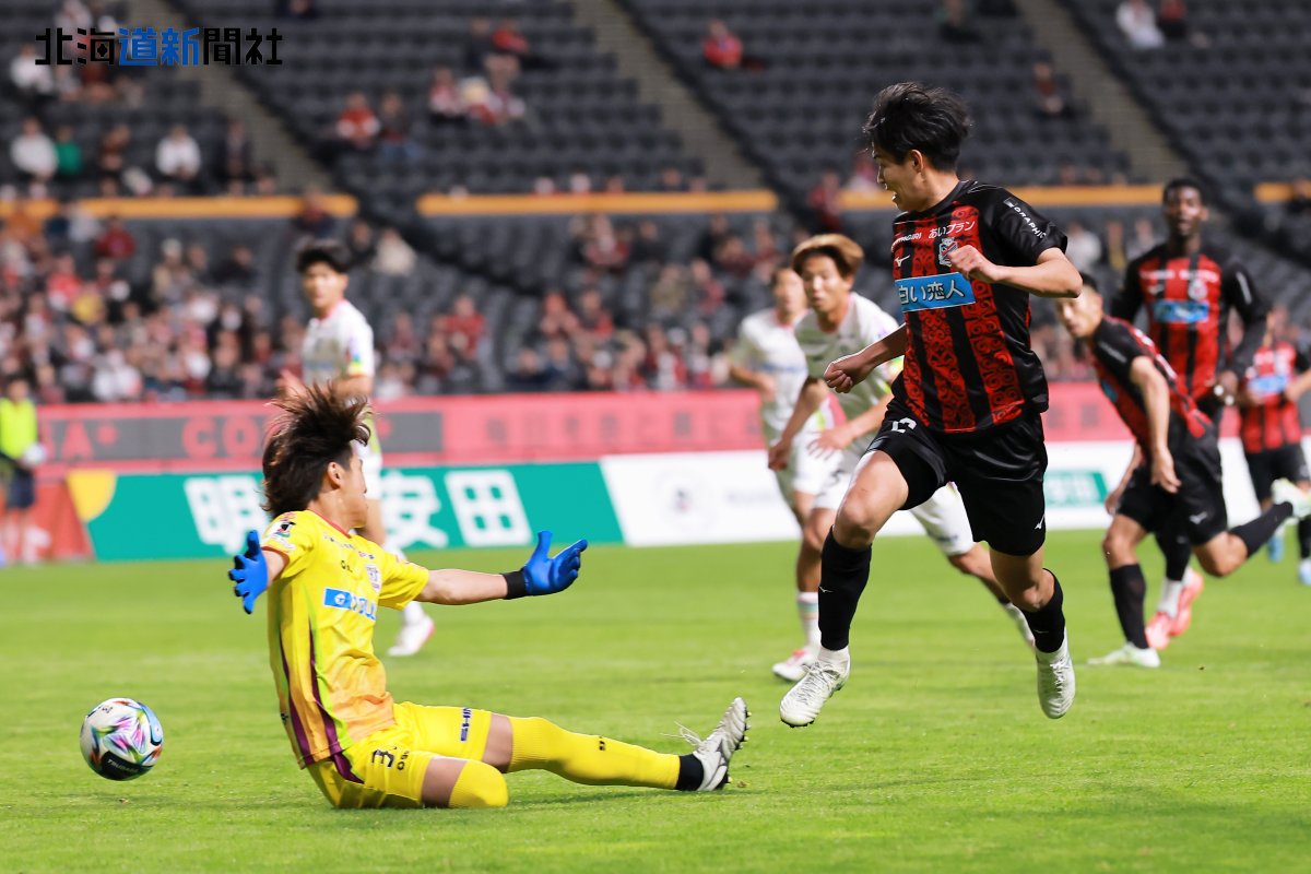 北海道新聞写真映像部 tweet media