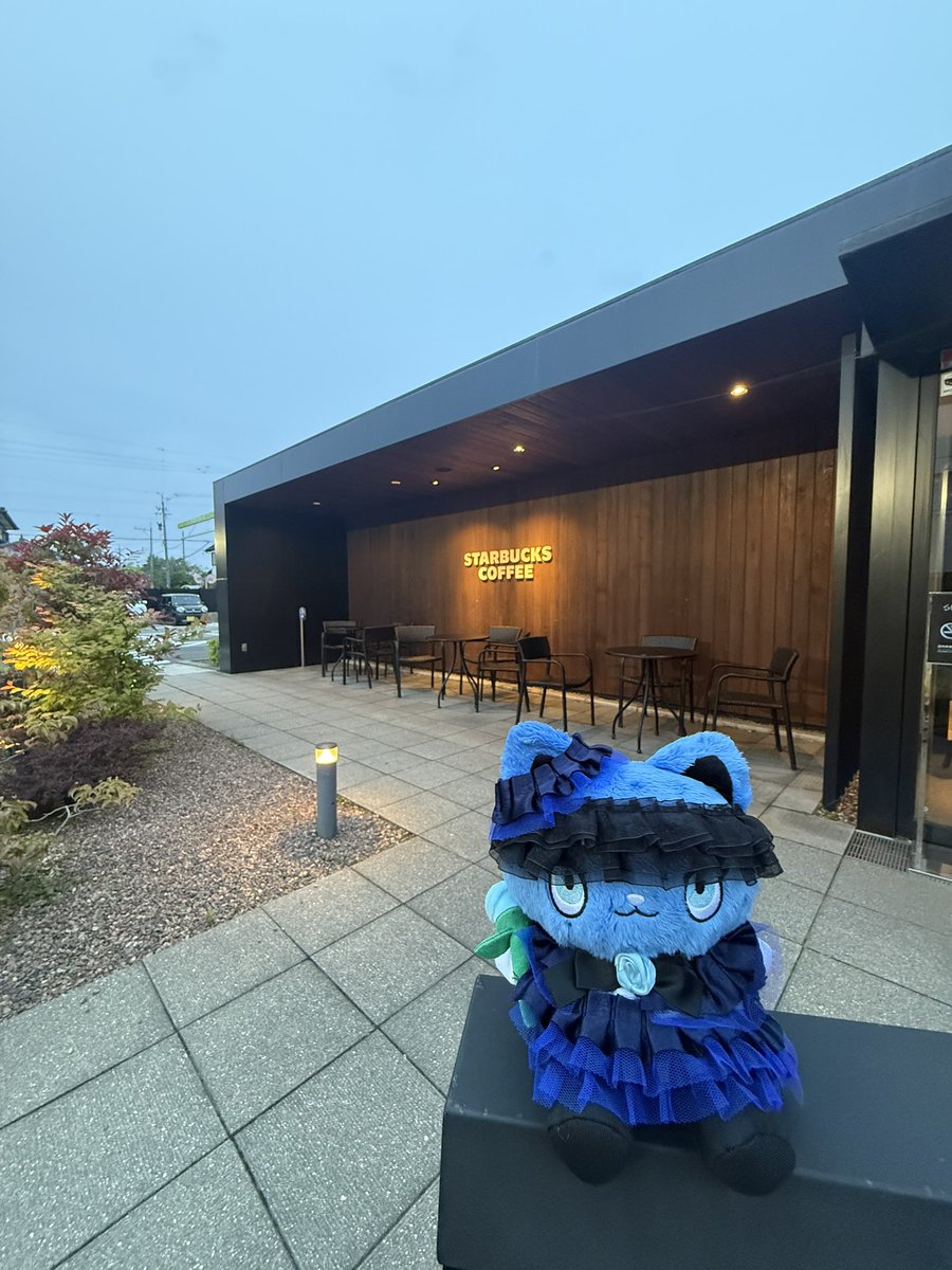 ジビー🥀 tweet media