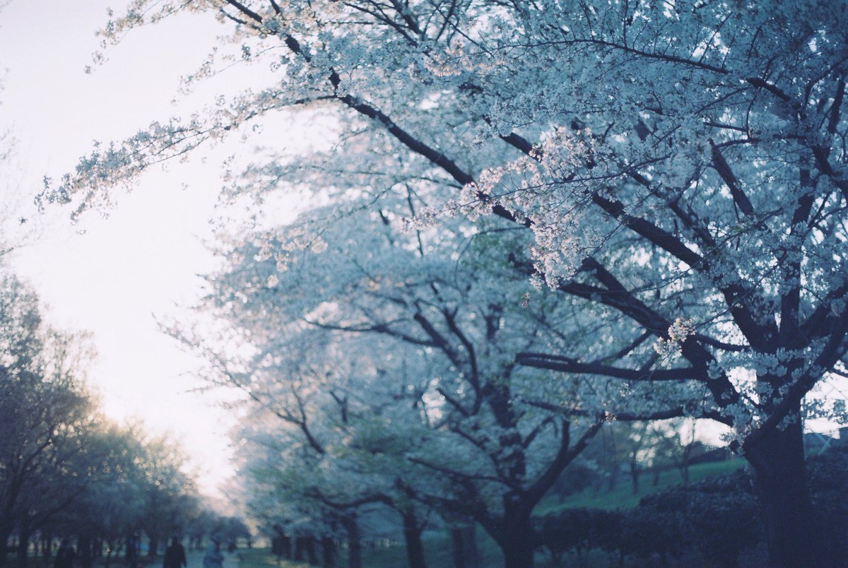 film.