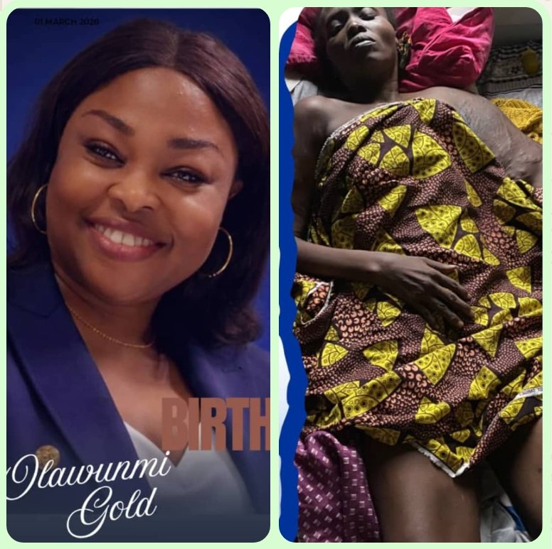 BSAT Properties tweet media