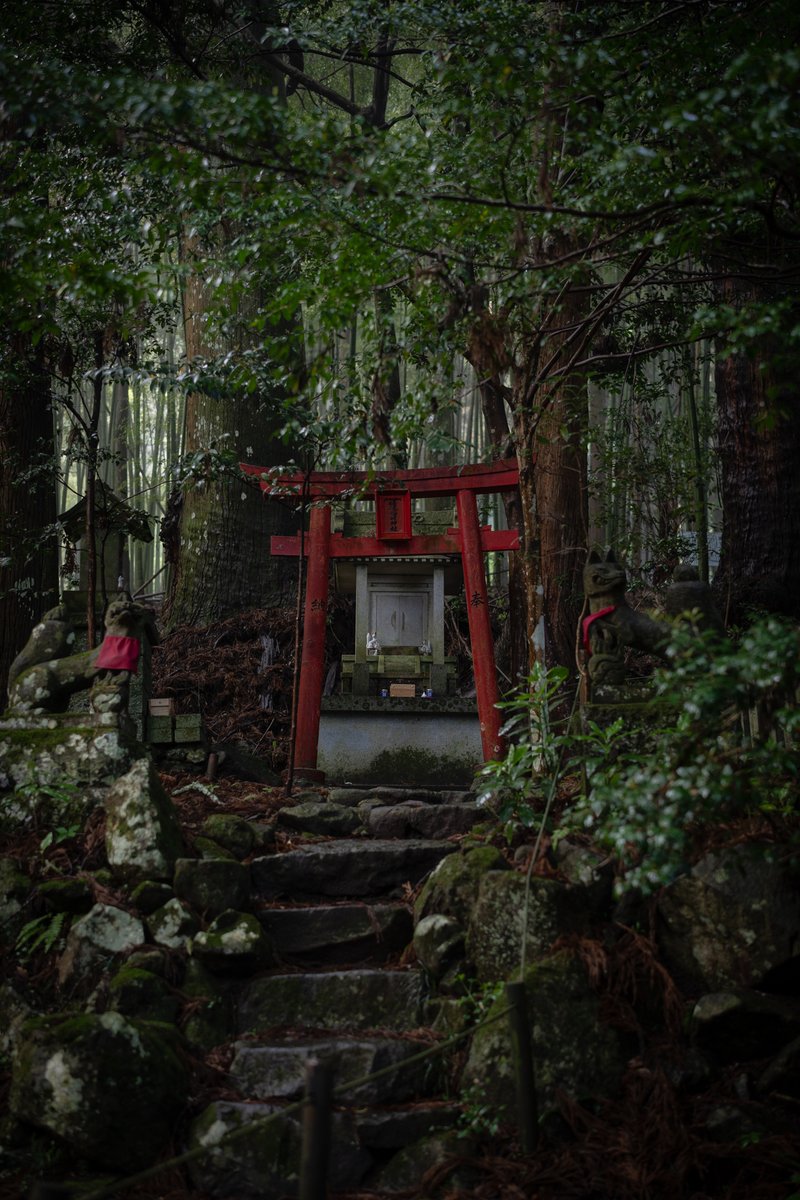 瓜生⛩️ tweet media
