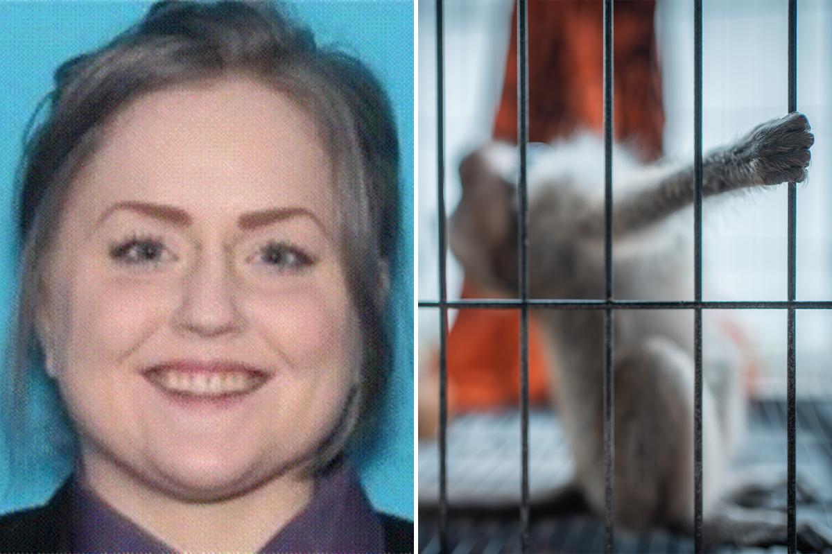 New York Post tweet media