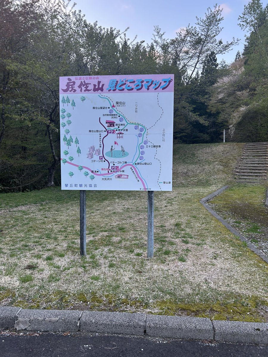 タマひよ tweet media