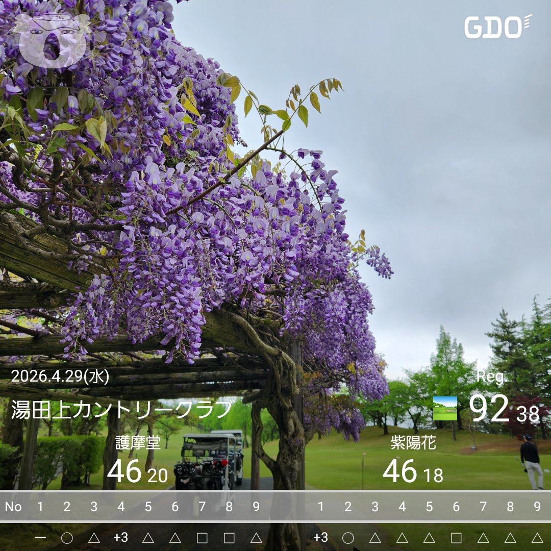 TH⛳トモロー tweet media