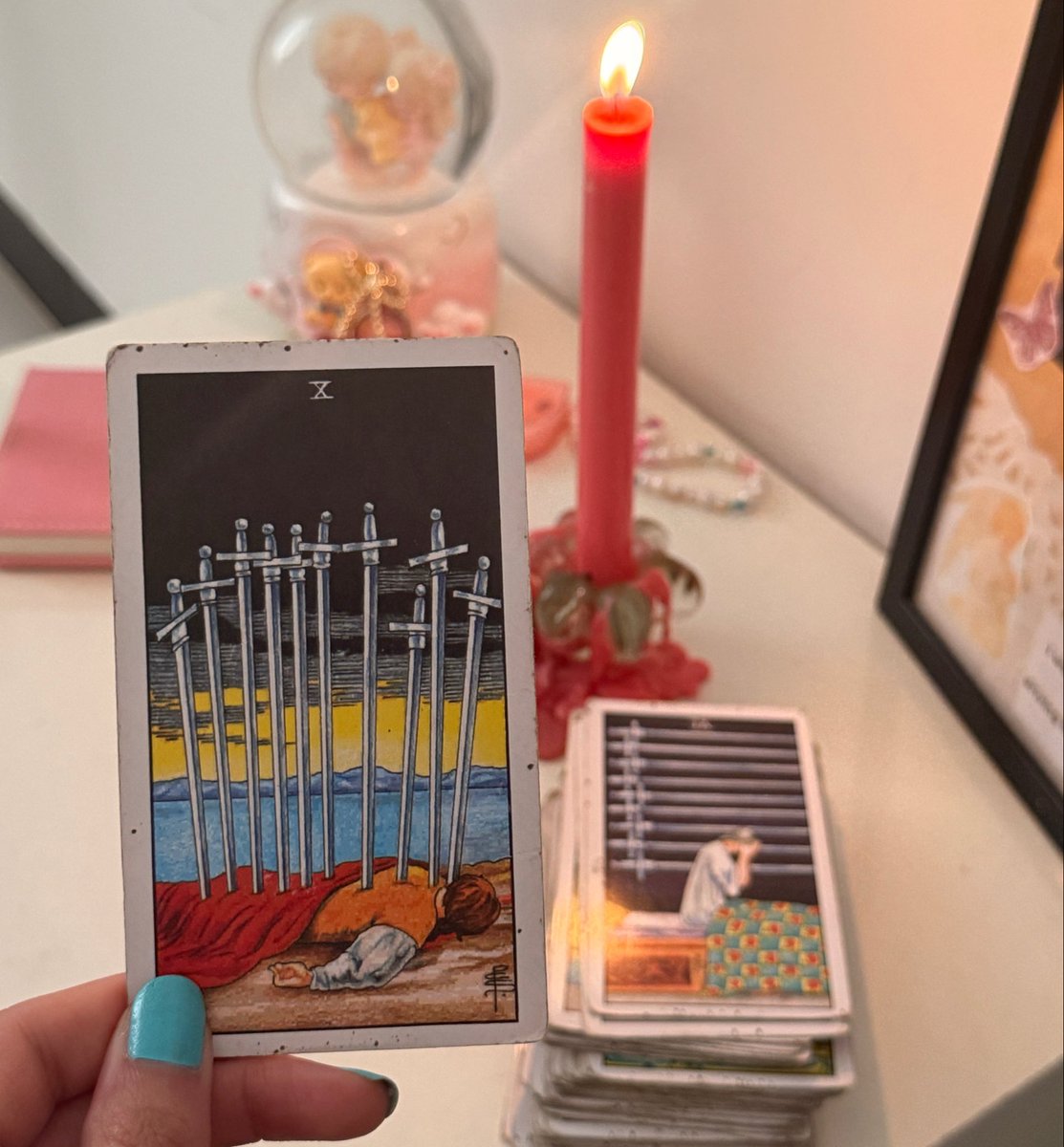 semitendinosus🔮 tweet media