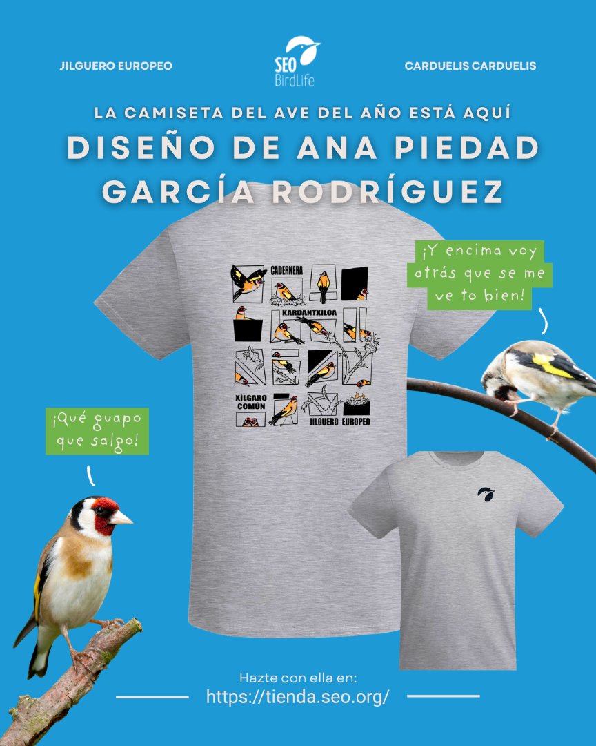 SEO_BirdLife's tweet photo. ¡Este es el diseño ganador de la camiseta del #avedelaño!

Realizada por Ana Piedad García en honor al jilguero, este año podrás lucir un estilo muy de cómic que nos recuerda lo bonito que es verlo en libertad, como le corresponde. 

Disponible en tienda: https://t.co/WkH0HQfyVf https://t.co/3vpa7UjOcE