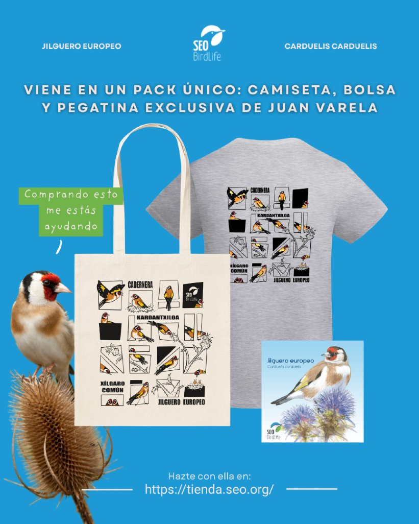 SEO_BirdLife's tweet photo. ¡Este es el diseño ganador de la camiseta del #avedelaño!

Realizada por Ana Piedad García en honor al jilguero, este año podrás lucir un estilo muy de cómic que nos recuerda lo bonito que es verlo en libertad, como le corresponde. 

Disponible en tienda: https://t.co/WkH0HQfyVf https://t.co/3vpa7UjOcE