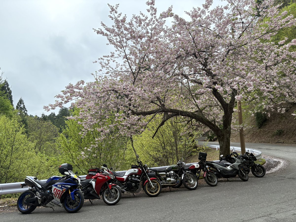 今年はじめてのツーリング。
桜、間に合いました(マジかw)