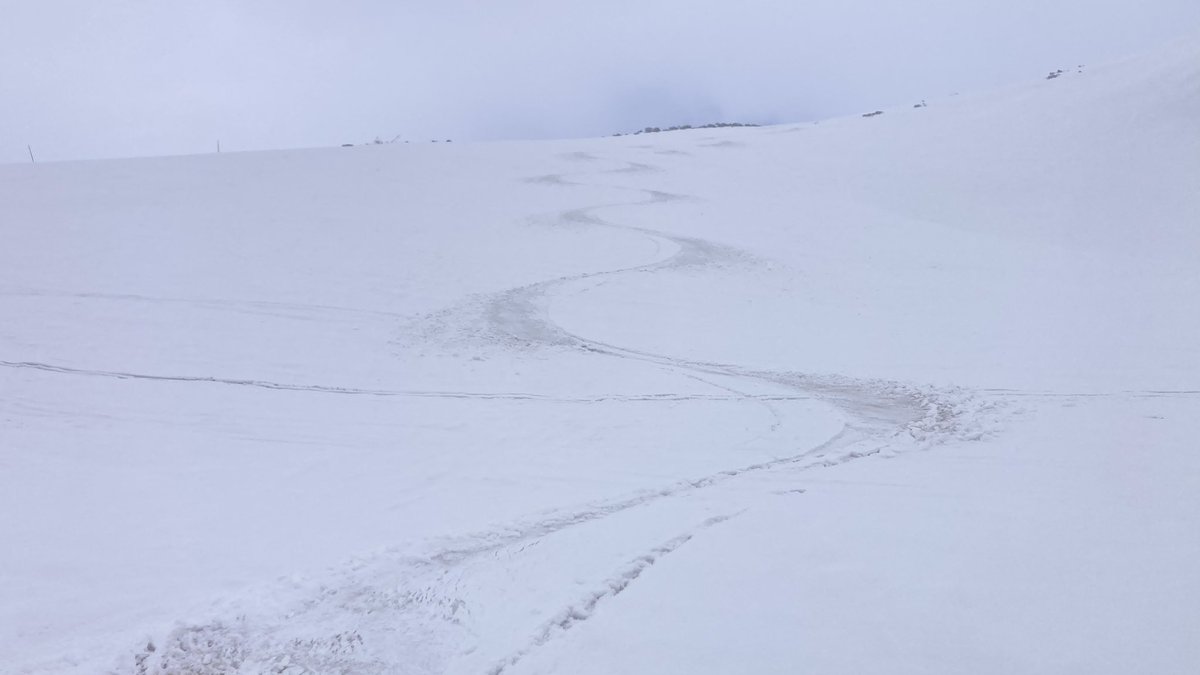 mu_sh09's tweet photo. 今日は久々に昼から旭岳へ⛷️🏔️
午前中は晴れてましたが午後からは雪が降りホワイトアウト気味に❄️
5cmぐらいパウダースノーが積もって滑りも気持ちよかったです。

#旭岳　#大雪山　#北海道　#春山スキー https://t.co/YsioKymhVe