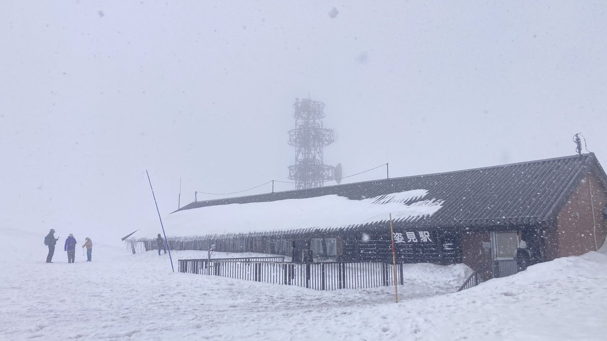 mu_sh09's tweet photo. 今日は久々に昼から旭岳へ⛷️🏔️
午前中は晴れてましたが午後からは雪が降りホワイトアウト気味に❄️
5cmぐらいパウダースノーが積もって滑りも気持ちよかったです。

#旭岳　#大雪山　#北海道　#春山スキー https://t.co/YsioKymhVe