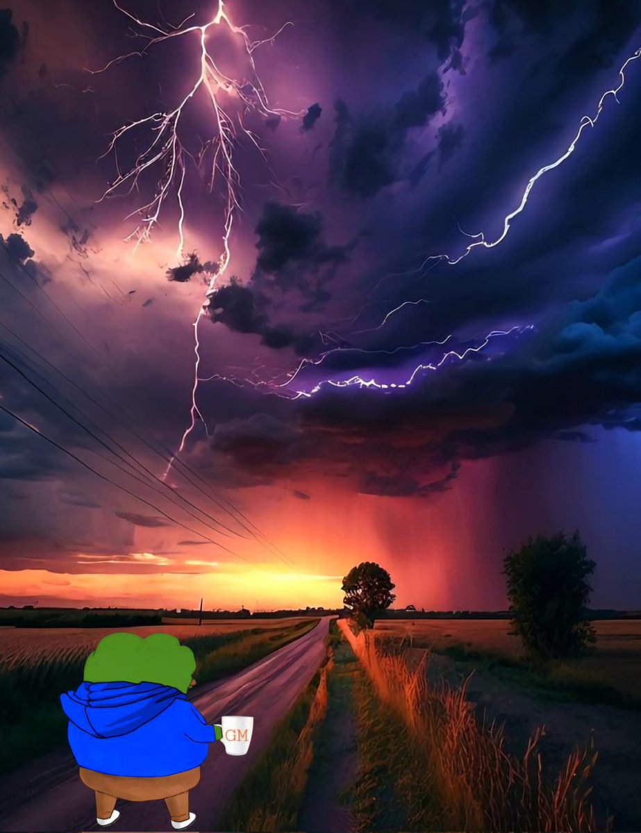 Mary_Flynn17's tweet image. GM frens! ❤️🐸☕️
Severe storms hit #DFW Texas. 🌪
Y'all stay safe out there! 🙏🏻⚡️⛈️

#WWG1WGA #NCSWIC