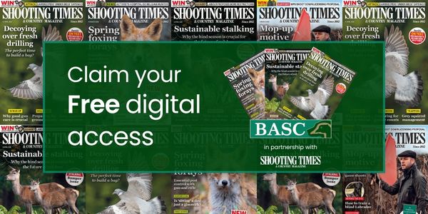 BASC tweet media