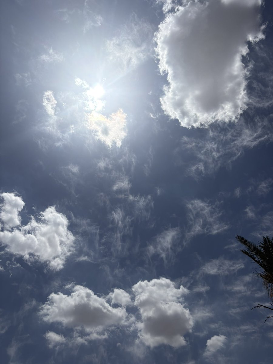 نور الدين ليش لا ؟🦩🥑 tweet media