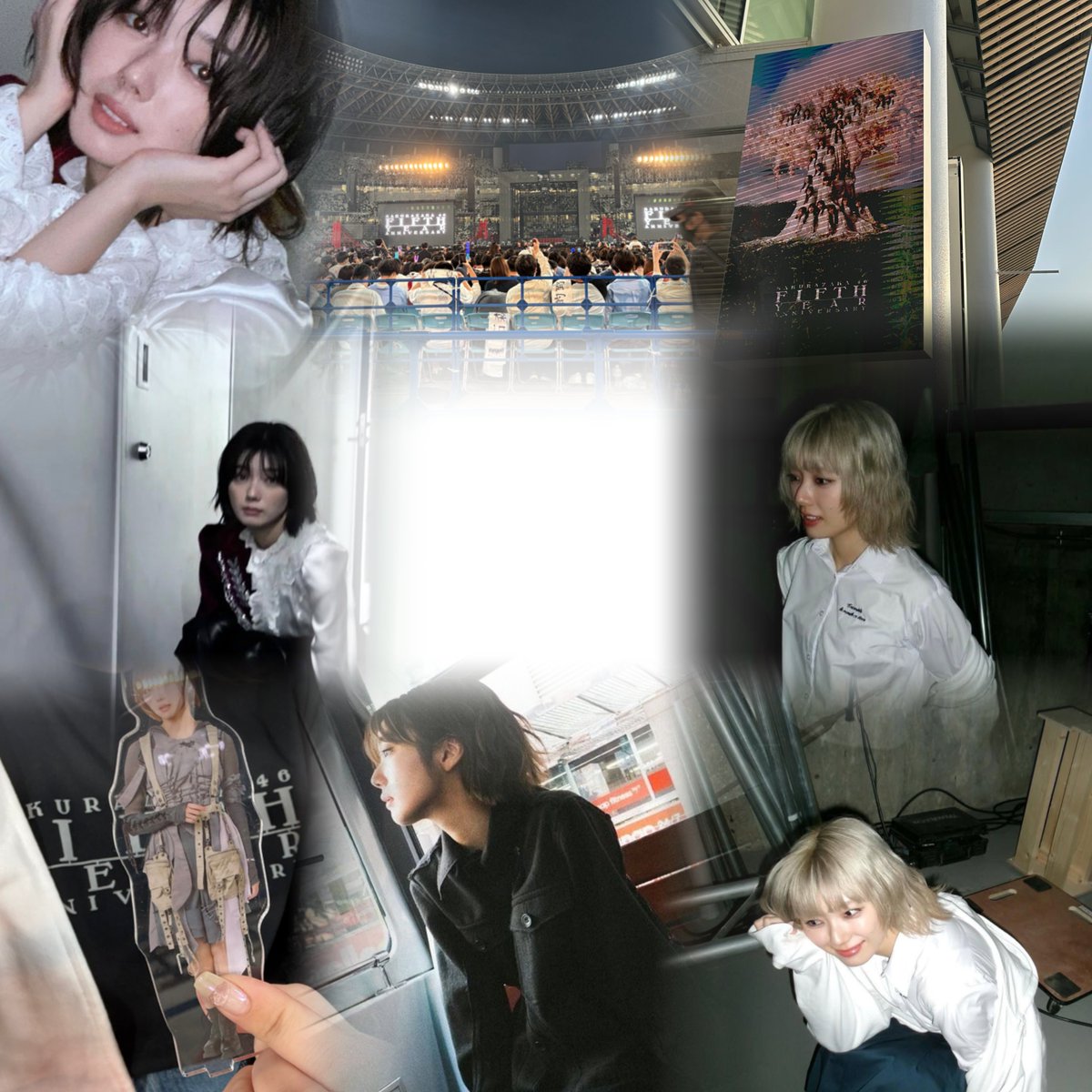 ﾐﾘ tweet media