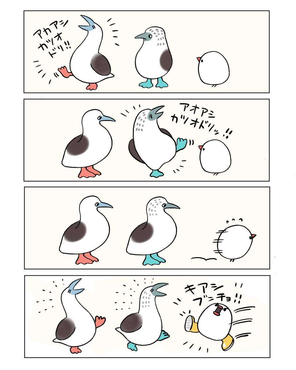 キアシブンチョ!(再掲) 