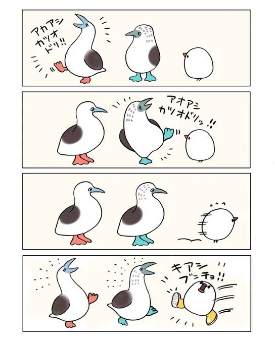 キアシブンチョ!(再掲) 