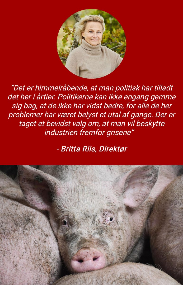 PerFrimann's tweet photo. https://t.co/Ml3O2DIxJw