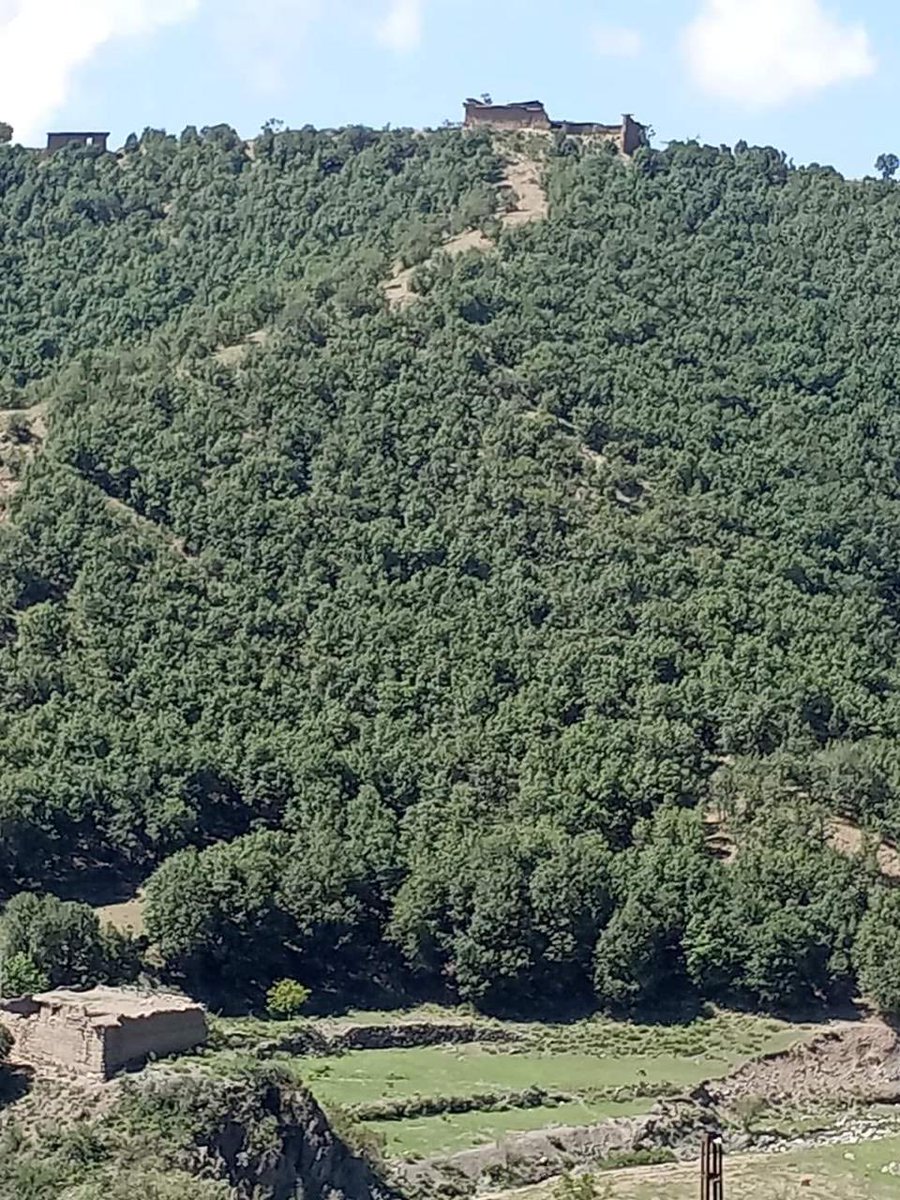 Shehzad Arbab tweet media