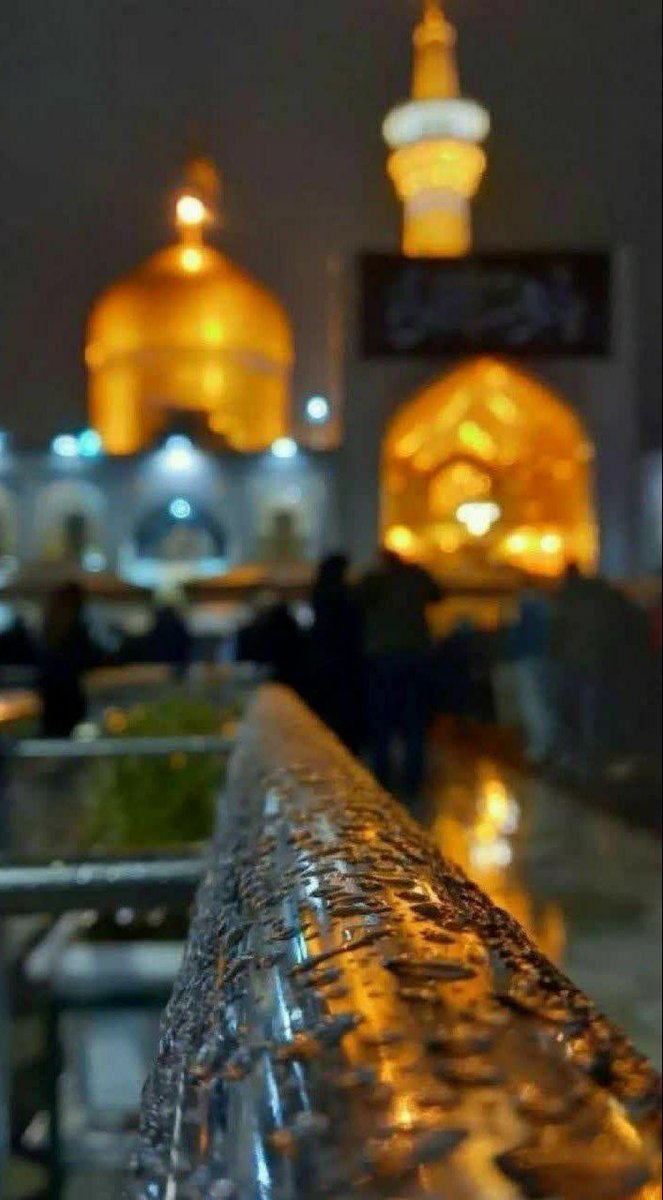 (مریم پودینه ی سابق)maryam🇮🇷 tweet media