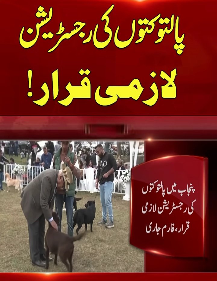پنجاب میں پٹواریوں کی رجسٹریشن شروع😂😂