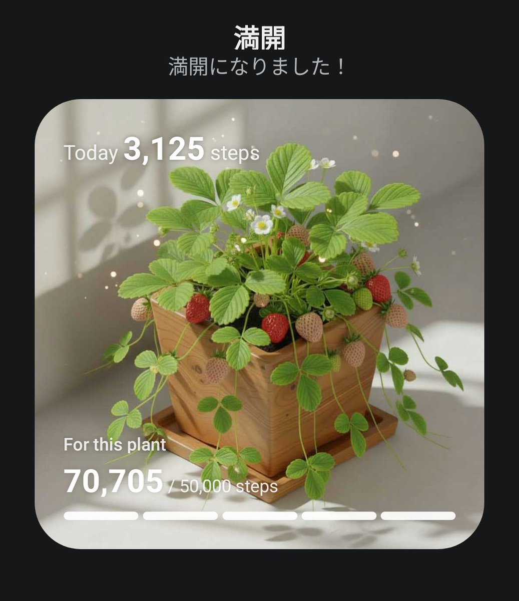 tomacopter60k's tweet photo. #PixelPot
歩いて植物育成中🌱

ひぃん https://t.co/wC1UFtlZJG