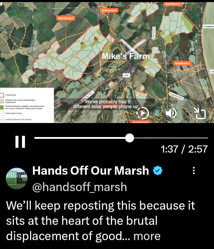 BalladeerMike's tweet image. #SolarPanels replacing acres of productive #Food growing farmland. This is madness.