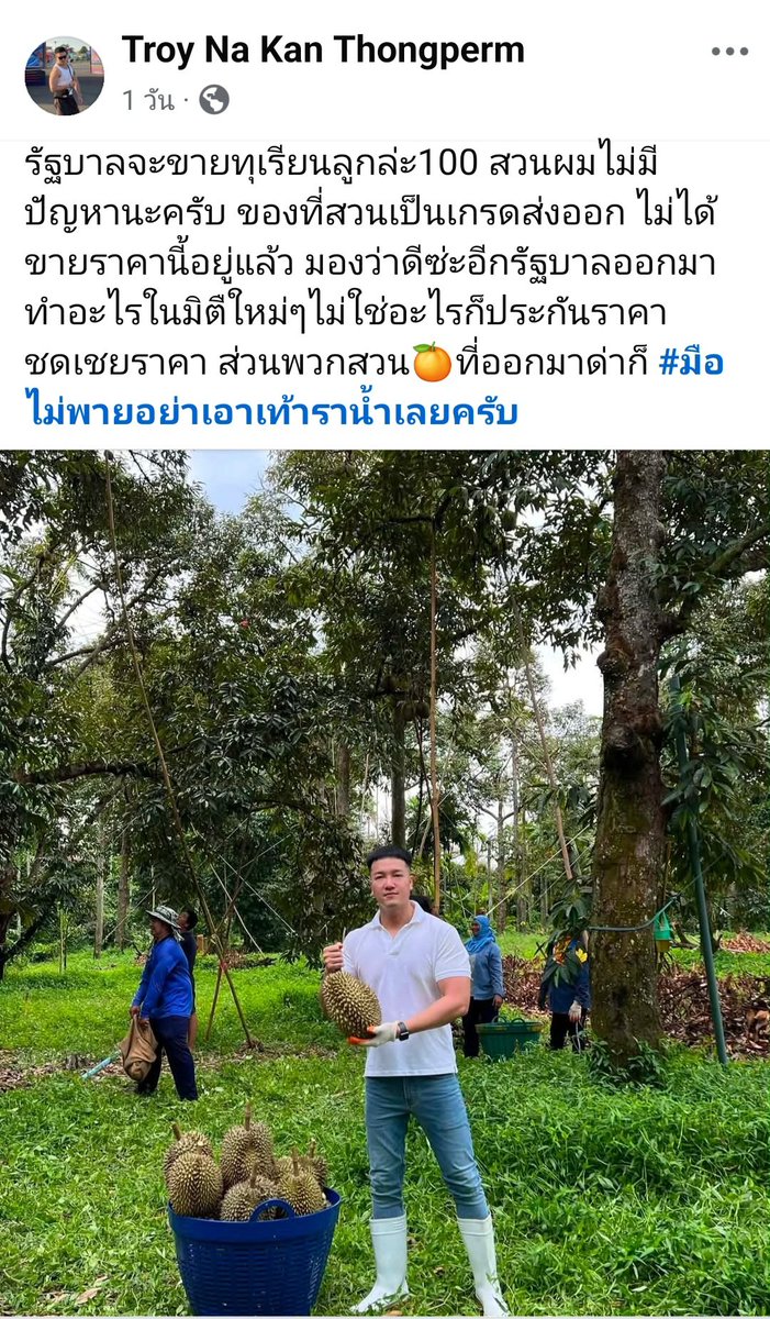 Thong D Thong K tweet media