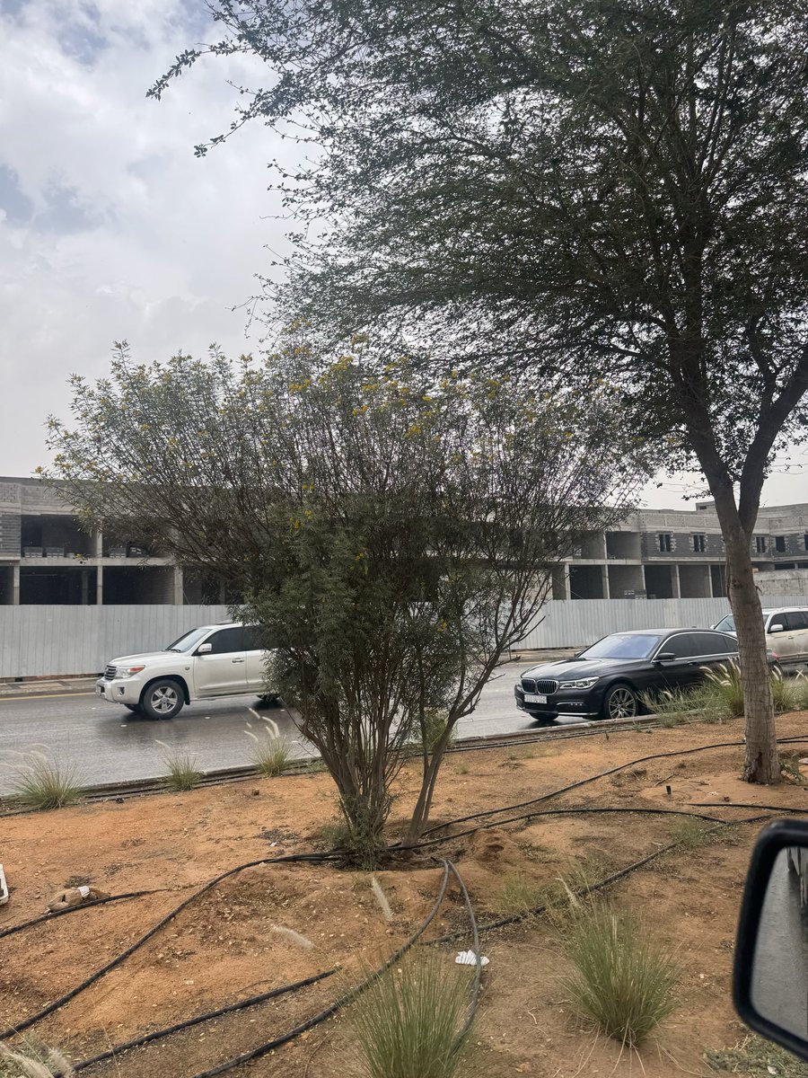 عبدالله البراك ابومحمد tweet media