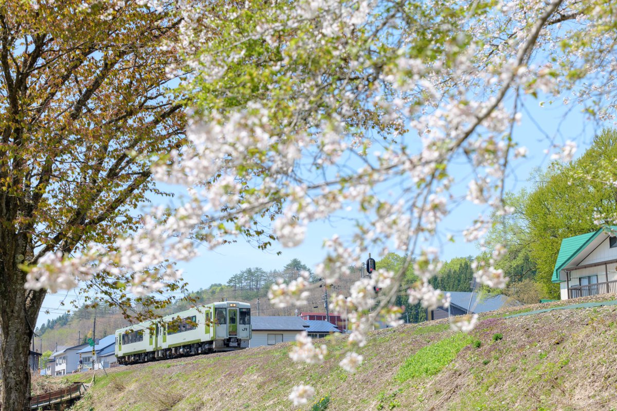 まぼたん24@禁酒12年 tweet media