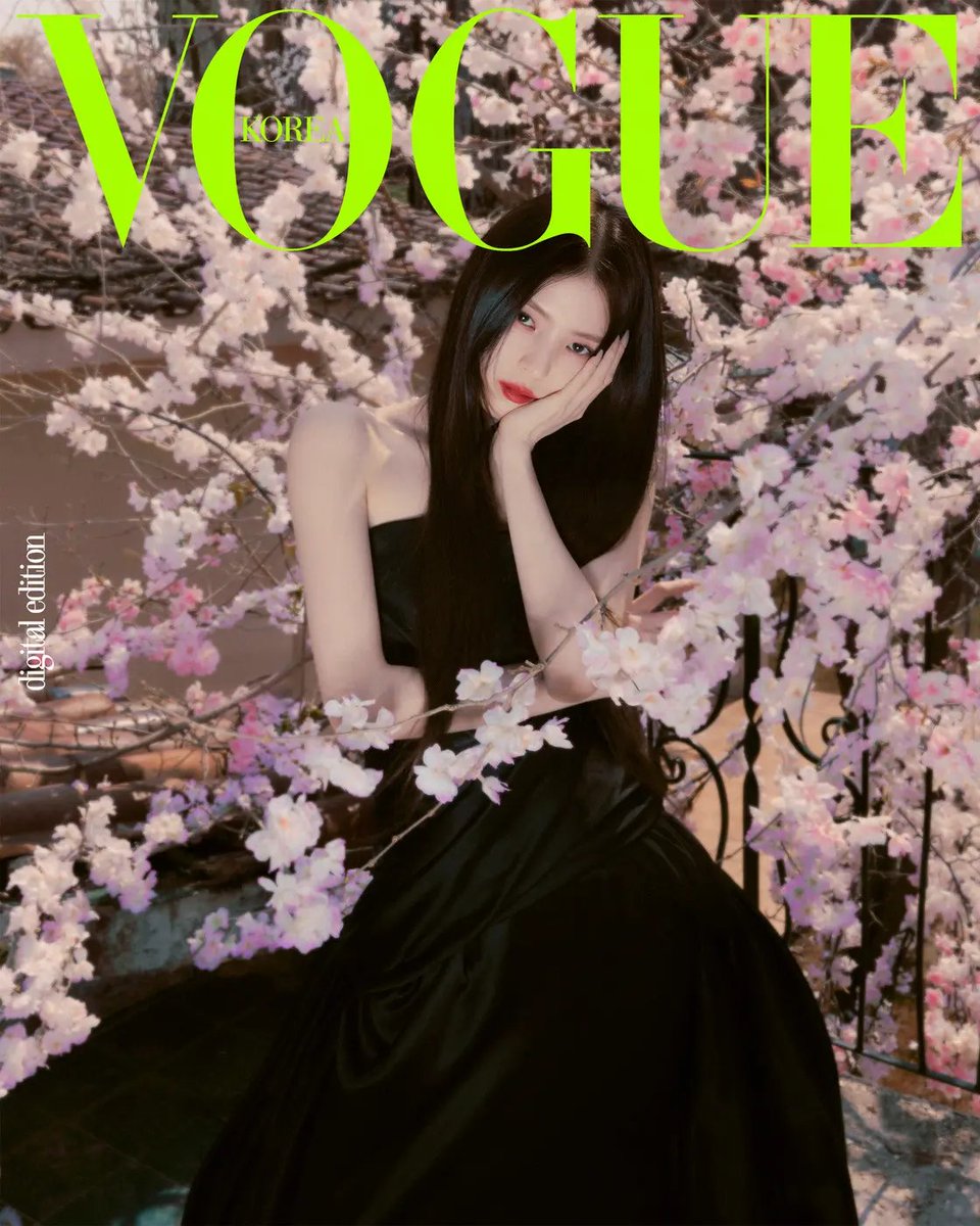 디어 tweet media