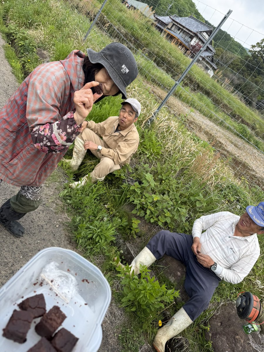 灰谷孝 tweet media